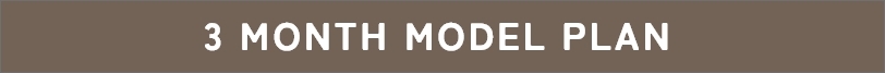 three month model plan